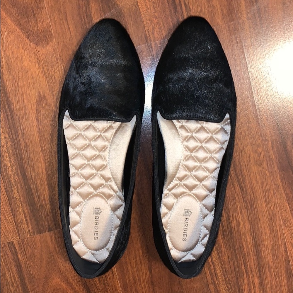 Birdies The Blackbird